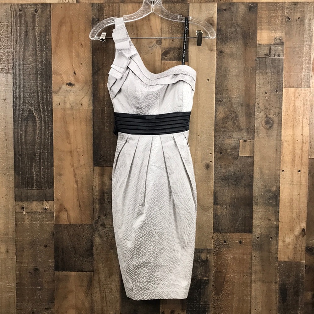 Dab Studio Gray Dress Size 4